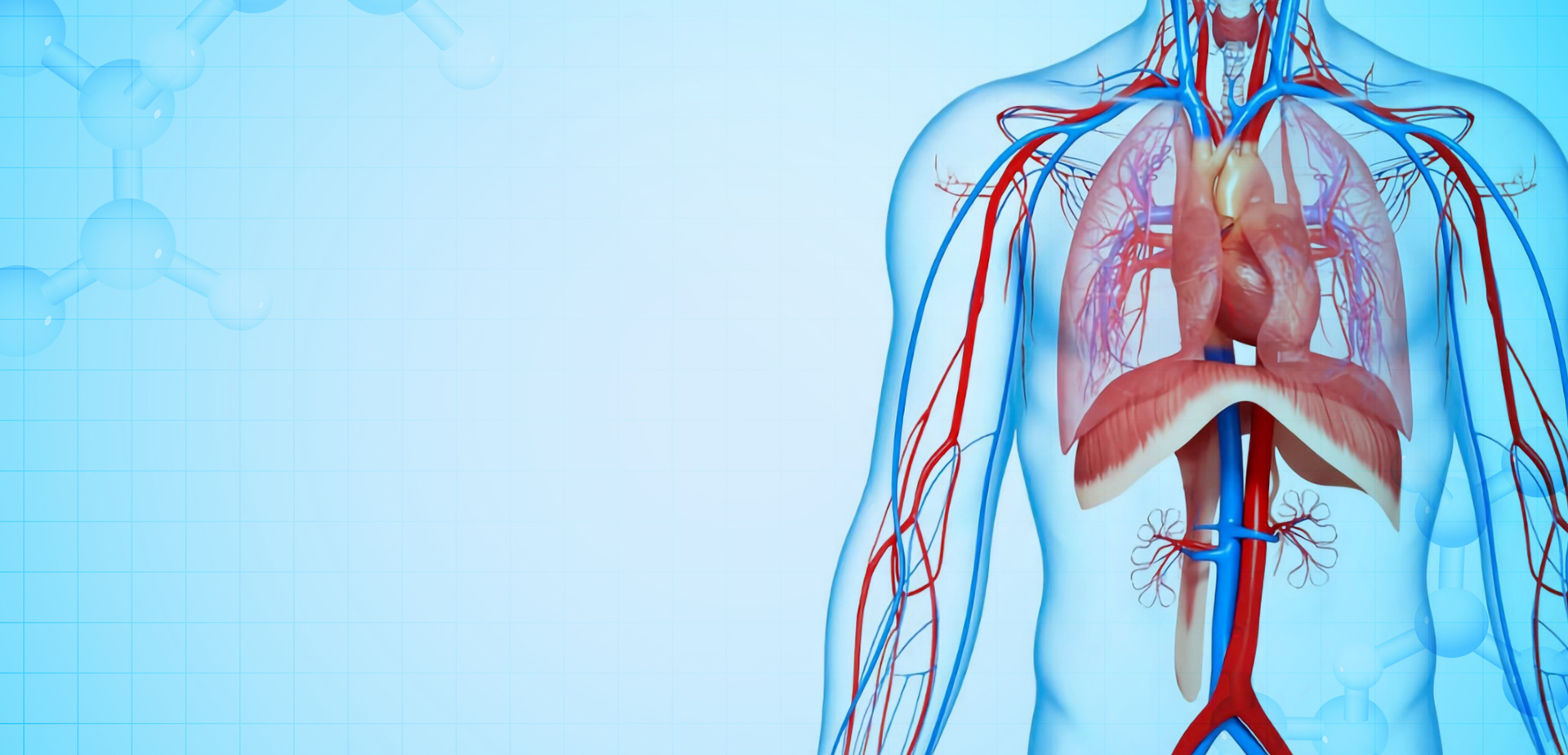 НИНБО LINSTANT ПОЛИМЕРНЫЕ МАТЕРИАЛЫ CO,. ООО.