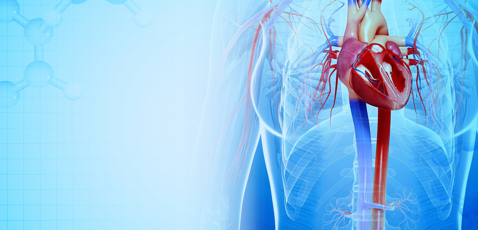 НИНБО LINSTANT ПОЛИМЕРНЫЕ МАТЕРИАЛЫ CO,. ООО.